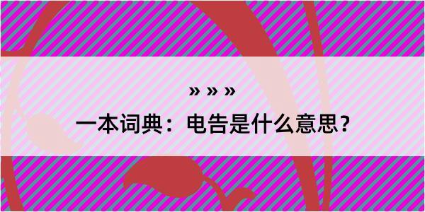 一本词典：电告是什么意思？