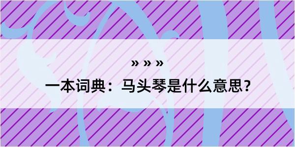 一本词典：马头琴是什么意思？