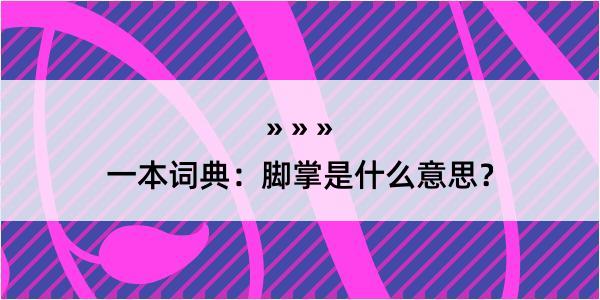 一本词典：脚掌是什么意思？
