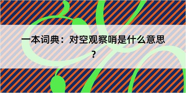 一本词典：对空观察哨是什么意思？