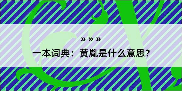 一本词典：黄胤是什么意思？