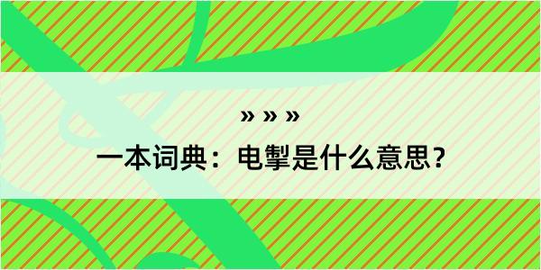 一本词典：电掣是什么意思？