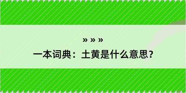 一本词典：土黄是什么意思？