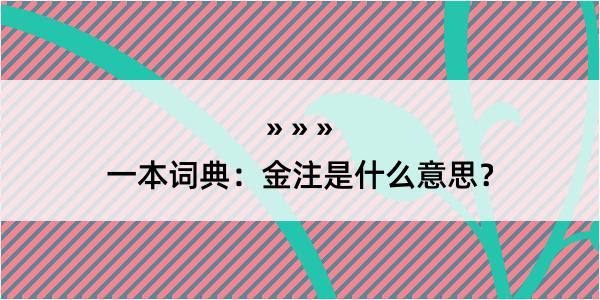 一本词典：金注是什么意思？