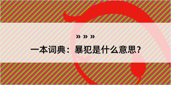 一本词典：暴犯是什么意思？