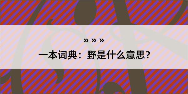 一本词典：野是什么意思？