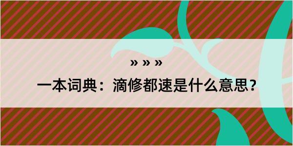 一本词典：滴修都速是什么意思？