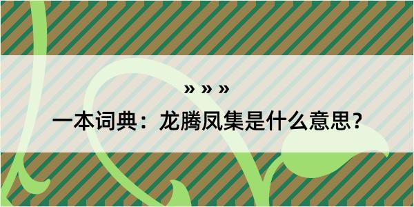 一本词典：龙腾凤集是什么意思？