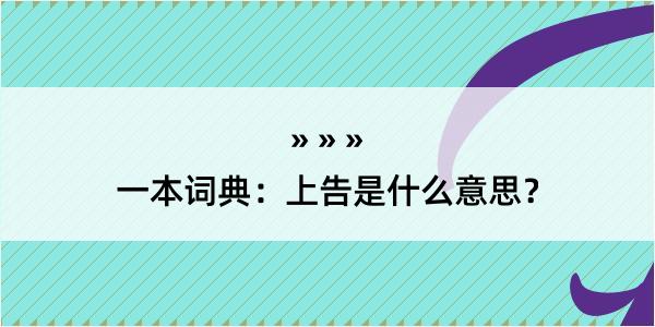 一本词典：上告是什么意思？