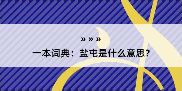 一本词典：盐屯是什么意思？