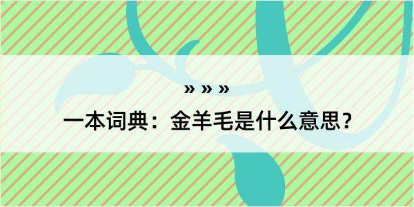 一本词典：金羊毛是什么意思？