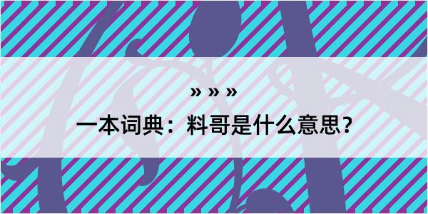 一本词典：料哥是什么意思？