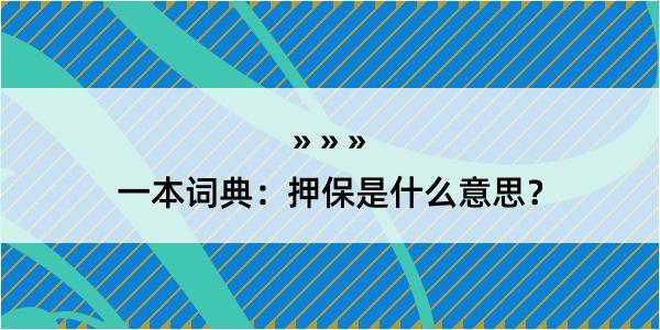 一本词典：押保是什么意思？