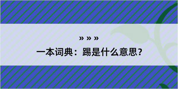 一本词典：踢是什么意思？