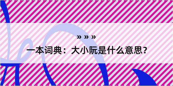 一本词典：大小阮是什么意思？