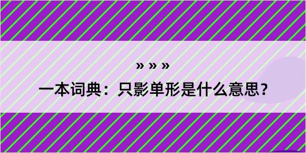 一本词典：只影单形是什么意思？