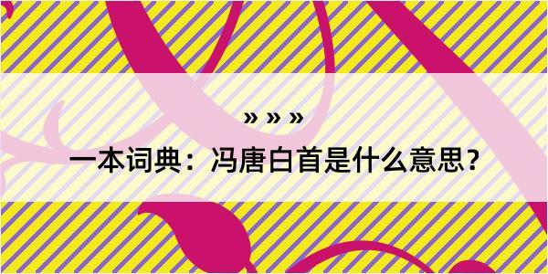 一本词典：冯唐白首是什么意思？