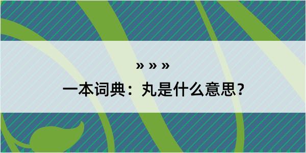 一本词典：丸是什么意思？