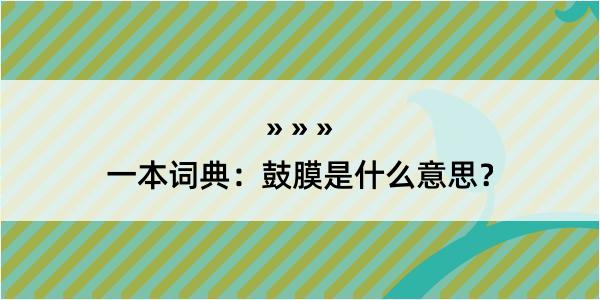 一本词典：鼓膜是什么意思？