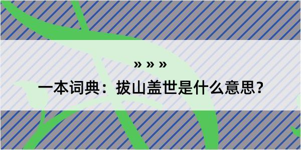 一本词典：拔山盖世是什么意思？