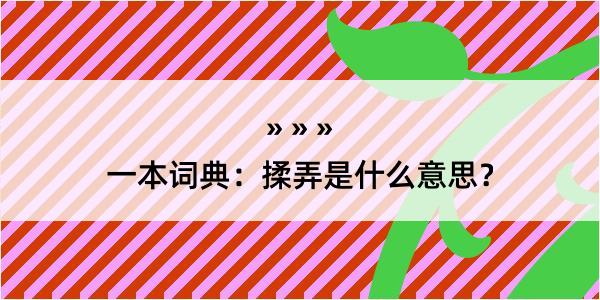 一本词典：揉弄是什么意思？