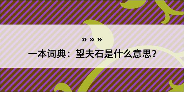 一本词典：望夫石是什么意思？