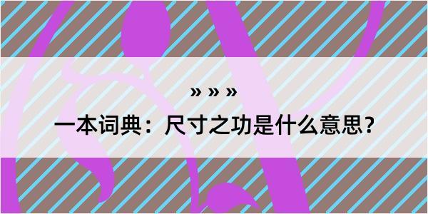 一本词典：尺寸之功是什么意思？