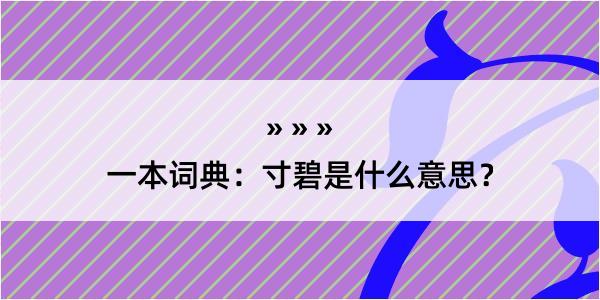 一本词典：寸碧是什么意思？