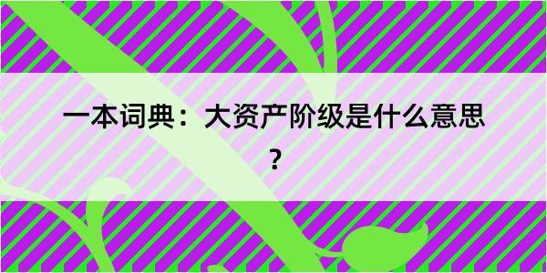 一本词典：大资产阶级是什么意思？