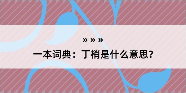 一本词典：丁梢是什么意思？