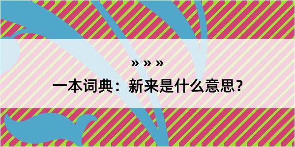 一本词典：新来是什么意思？