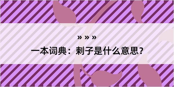 一本词典：剌子是什么意思？