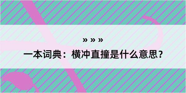 一本词典：横冲直撞是什么意思？