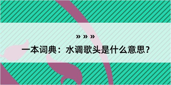 一本词典：水调歌头是什么意思？