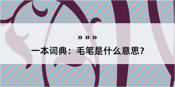 一本词典：毛笔是什么意思？