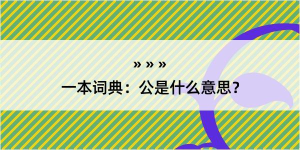 一本词典：公是什么意思？