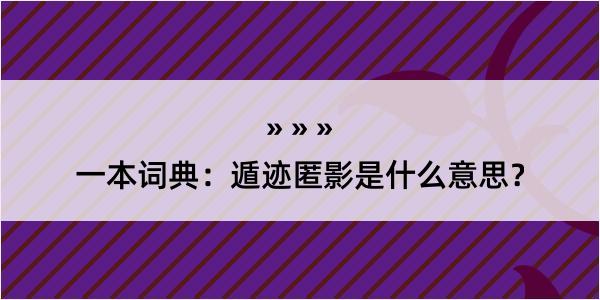 一本词典：遁迹匿影是什么意思？