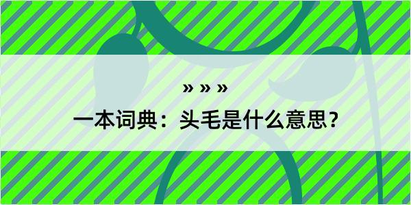 一本词典：头毛是什么意思？