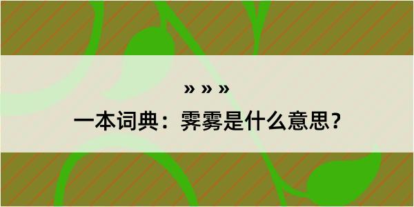 一本词典：霁雾是什么意思？