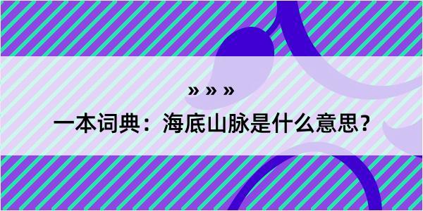 一本词典：海底山脉是什么意思？