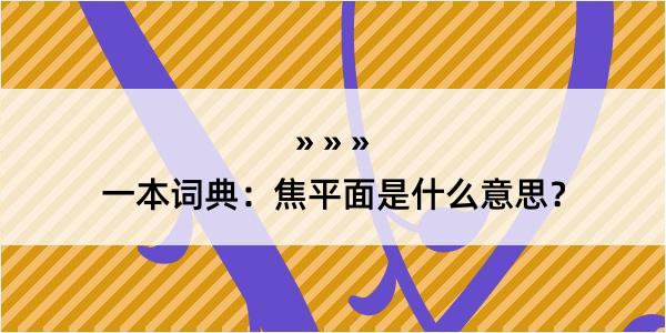 一本词典：焦平面是什么意思？