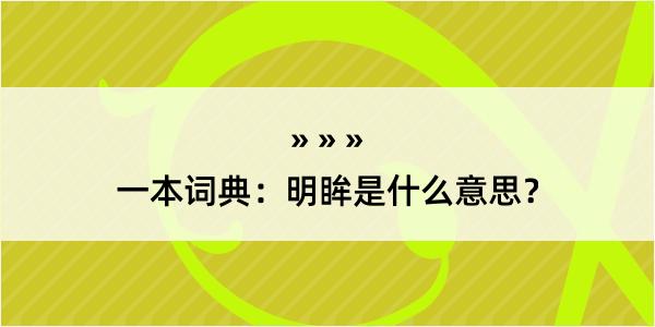 一本词典：明眸是什么意思？