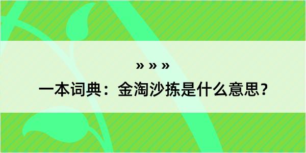 一本词典：金淘沙拣是什么意思？