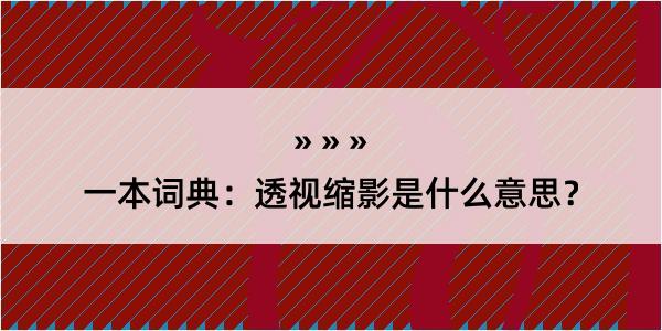 一本词典：透视缩影是什么意思？