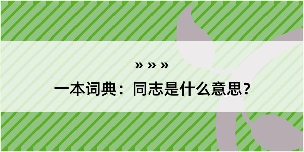 一本词典：同志是什么意思？