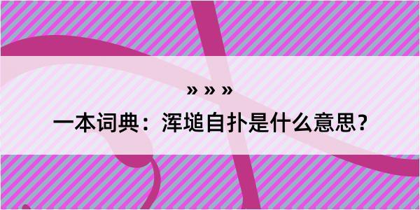 一本词典：浑塠自扑是什么意思？