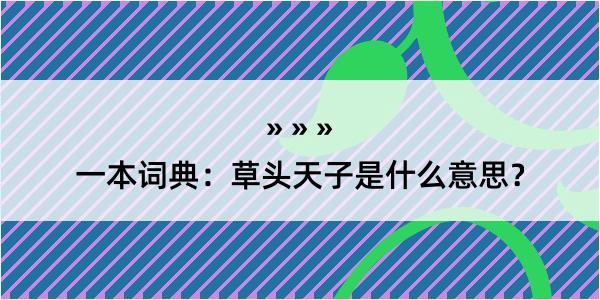 一本词典：草头天子是什么意思？