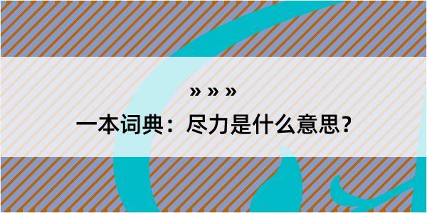 一本词典：尽力是什么意思？