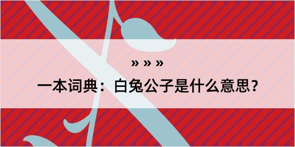 一本词典：白兔公子是什么意思？