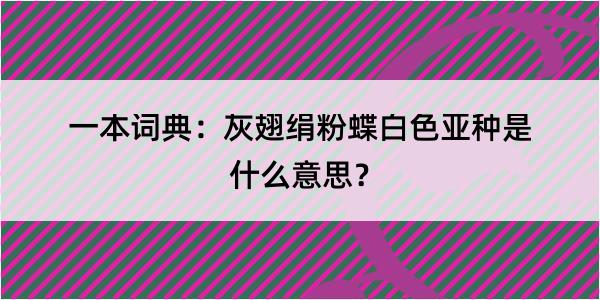 一本词典：灰翅绢粉蝶白色亚种是什么意思？